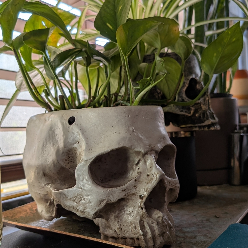 Hanging Skull Planter - Large - Picture 8 of 8